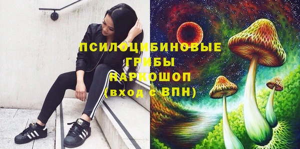 гашиш Нефтекумск