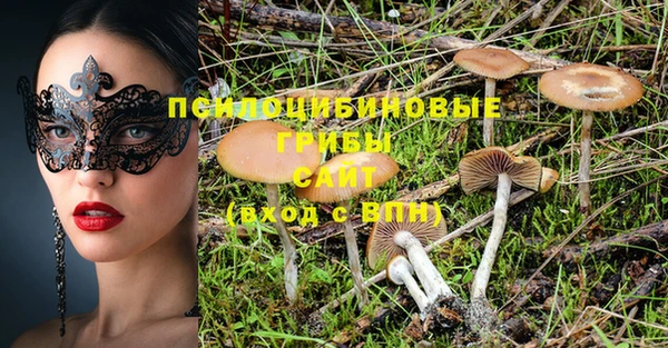 первитин Нея