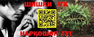 дурь Заводоуковск