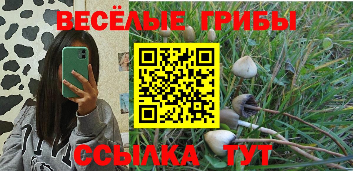 Спасск-Дальний  Псилоцибиновые грибы прущие грибы  Вход с VPN 